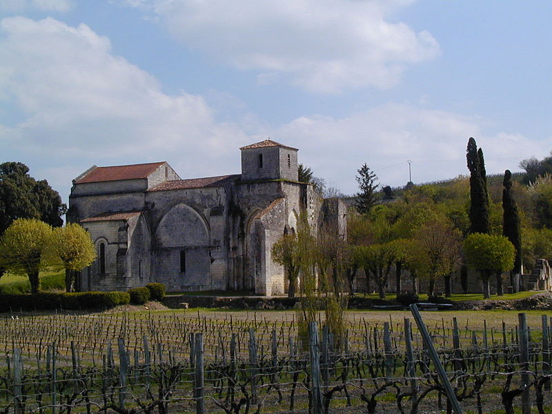 Sortie : »journée Bouteville » Charente.