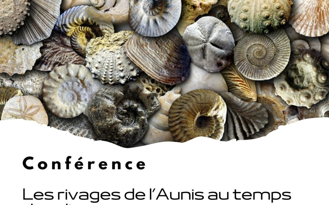 Conférence : Les Rivages de l’Aunis au temps des dinosaures