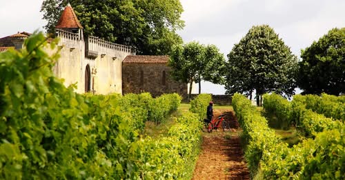 « Randonnées dans l’Ouest Charente: paysages, histoire et patrimoine »